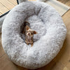 Ultra Soft Plush Donut Bed for Pet Dogs